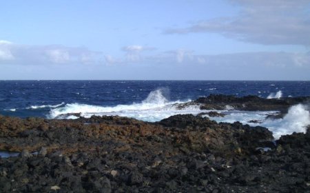 The Conquest of Fuerteventura