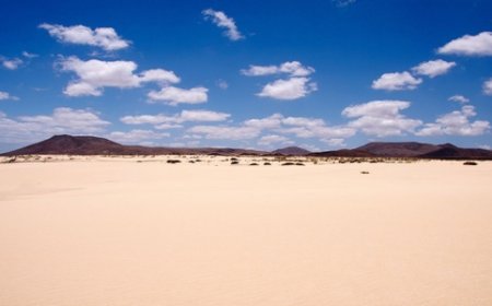 Explore Fuerteventura