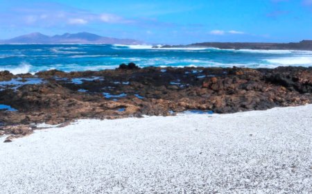 Popcorn Beach Fuerteventura – The Unique “Popcorn” Shore Near Corralejo