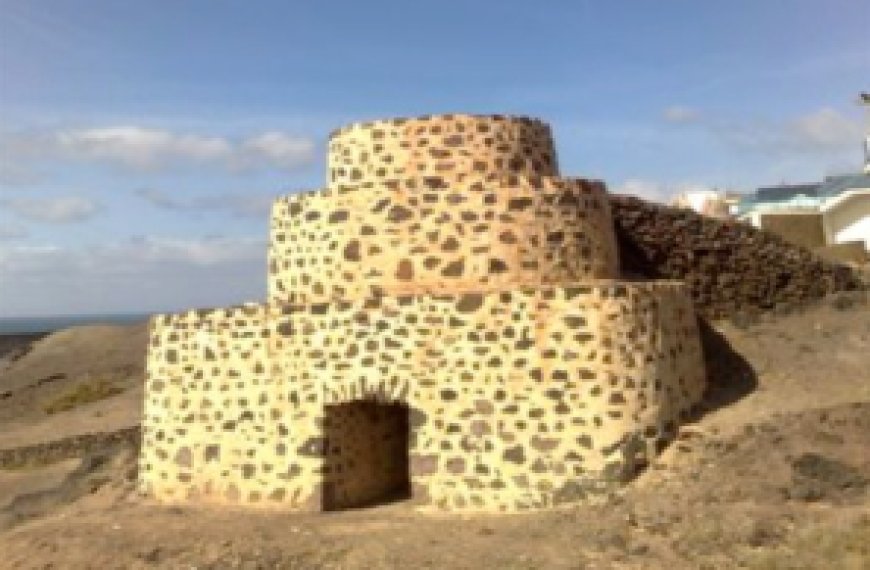 Why are there no trees in Fuerteventura?