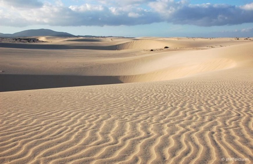 Things to Do in Corralejo