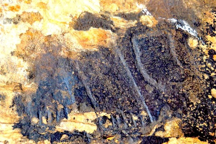 Ancient foot-shaped engravings on Montaña de Tindaya